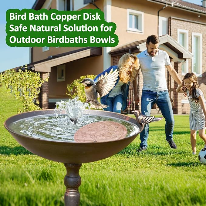 Bird Bath Copper Disk, 0.6mm Thick 99.99% Pure Copper Purification Disk with Triple-Point Support, Safe Physical Cleaning for Outdoor Birdbaths, Bowls, All-Season Universal Fit