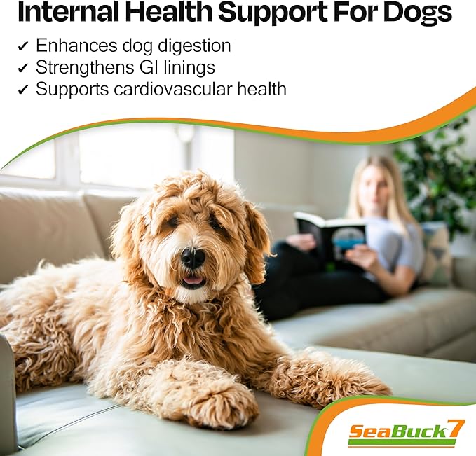 SeaBuck 7 Shiny Dog Sea Buckthorn Oil to Improve Dog Health (2-4 Month Supply, 60ml) – Supports Shiny Coat, Healthy Digestion, and Skin & Paw Pad Health for Dogs