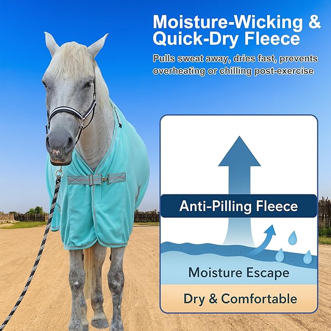 Horse Fleece Cooler, Blanket Liner - 300g Anti-Pilling Fleece, Moisture-Wicking, Cooling & Drying for Post-Workout, Bath & Travel, Prevent Overheating & Chilling Mintgreen 69