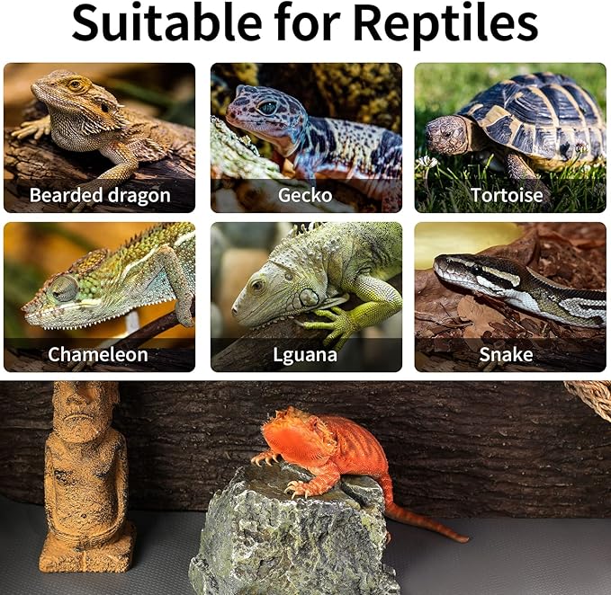 Reptile Carpet, Bearded Dragon Tank Accessories, Terrarium Liner Bedding, Non-Adhesive Terrarium Carpet for Bearded Dragon, Leopard Gecko, Snake, Lizard, Tortoise, Iguana Reptile Tank Grey(18"x72")