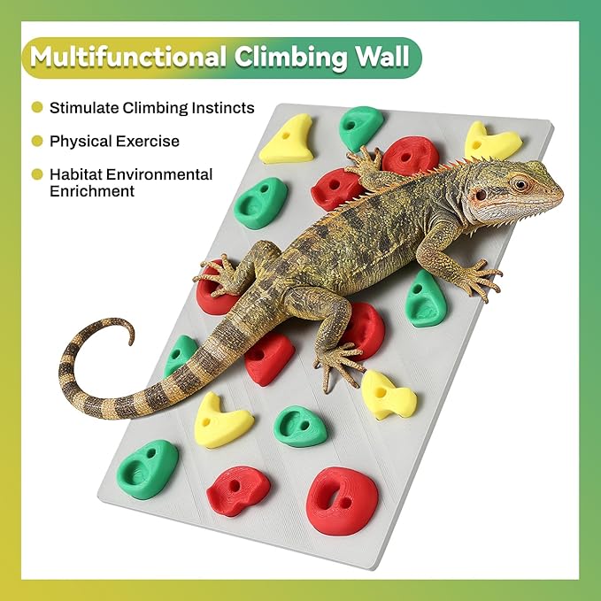 Climbing Wall for Reptiles, Reptile Tank Terrarium Accessories Habitat Decor for Bearded Dragons, Leopard Geckos, Lizards, Snakes, Tree Frogs, Amphibian Paludariums Enclosure Supplies