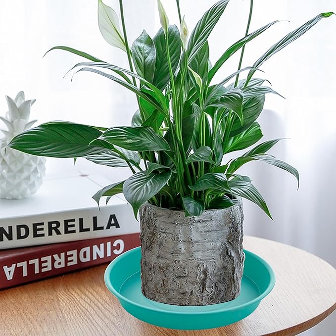 2 Pack of 14 inch Plant Saucers Bird Bath Bow Round, Plastic Plant Saucer Tray for Pots, White Planters for Indoor Plants, Plant Trays for Planter 12-15" (14", Teal)