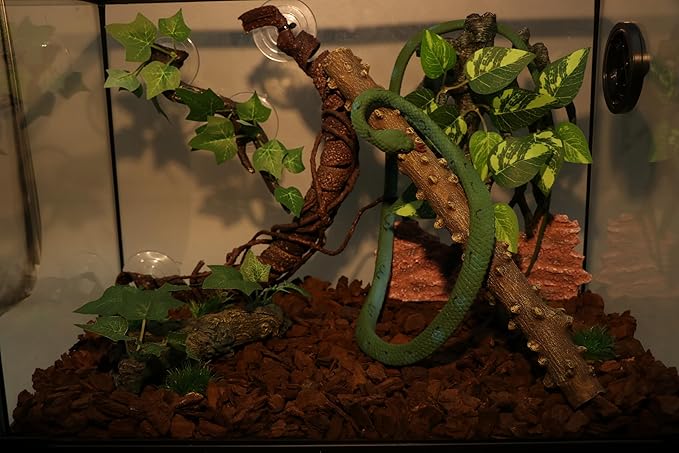AQUA KT Reptile Climbing Corner Stick Branch Rain Forest Style for Snake Lizard Hermit Crab Bearded Dragon Terrarium Habitat Decoration