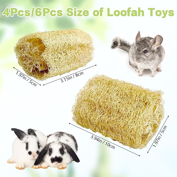 BNOSDM Bunny Chew Toys Natural Loofah 4PCS Bunny Teeth Grinding Toy Rabbit Fiber-Rich Treats Pet Entertainment Accessories for Rabbits Chinchillas Guinea Pig（L）