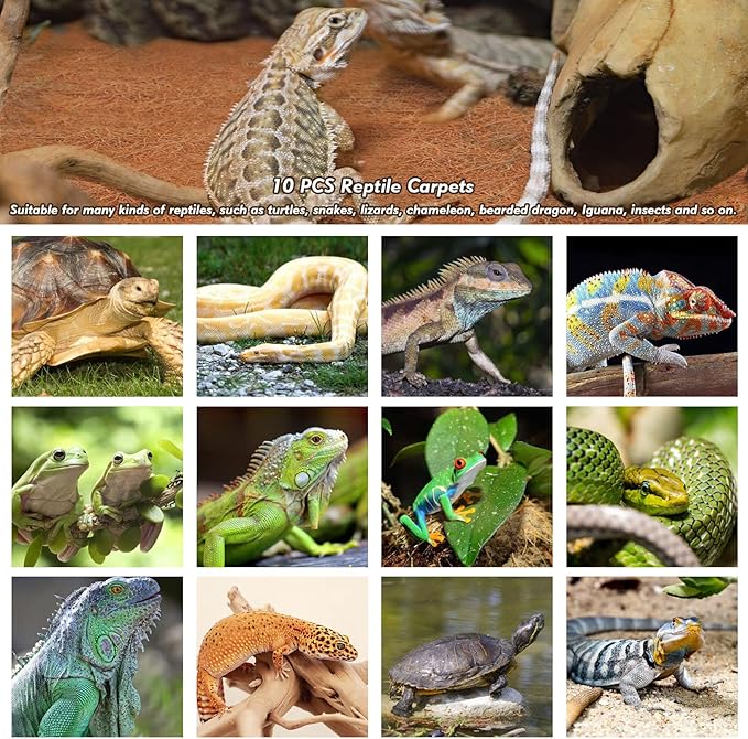 ZeeDix 10 Pcs Reptile Carpet, 14X14 inch Natural Coconut Fiber Liner Mat Flooring Accessories for Reptile Tank - Bearded Dragon Tortoise Lizard Turtle Snake Leopard Gecko Substrate Bedding