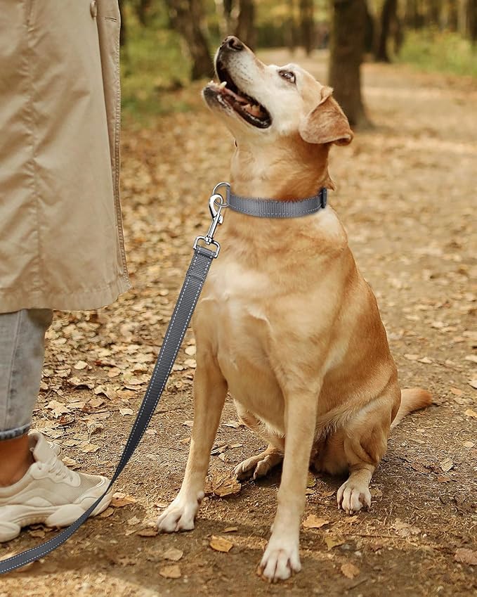 TagME Reflective Nylon Dog Collars, Adjustable Classic Pet Collar with Quick Release Buckle for Small Dogs, Grey, 3/4" Width