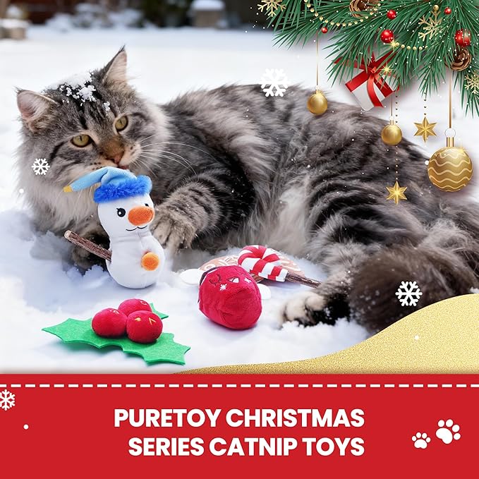 Christmas Cat Toys - 5PCS Catnip Toys for Cats Christmas Theme, Cat Chew Toy with Silvervine Sticks for Cats Health, Durable Fleece Material Snowman, Gingerbread, Cane, Coffee, Holly Berry