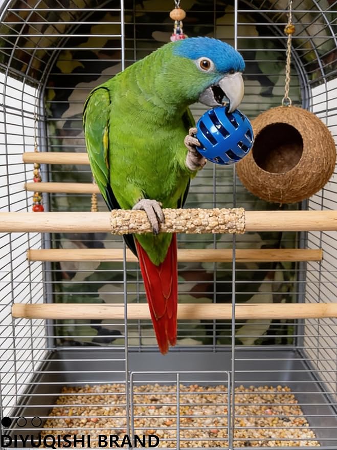 10-Pack Bird Toys for Parrots – Natural Rattan & Plastic Bell Balls – Safe, Fun Cage Decor & Foot Exercise (1.5'' - 5.5'')