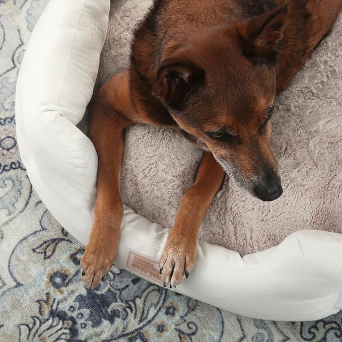 TOWN & COUNTRY EVERYDAY CuddleTown Faux Linen Comfy Cozy Cuddler Pet Bed, Supportive & Calming, Non-Slip Bottom, Machine Washable Cover, Cream, Small 22"x20"x7"