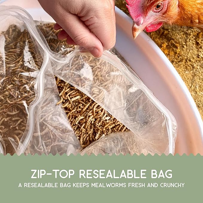Better Than Dried Black Soldier Fly Larvae for Chickens - 10 lbs Non-GMO - 75X More Calcium Than Meal Worms - Poultry Feed Molting Supplement - Farm Raised High Protein - Resealable Bag