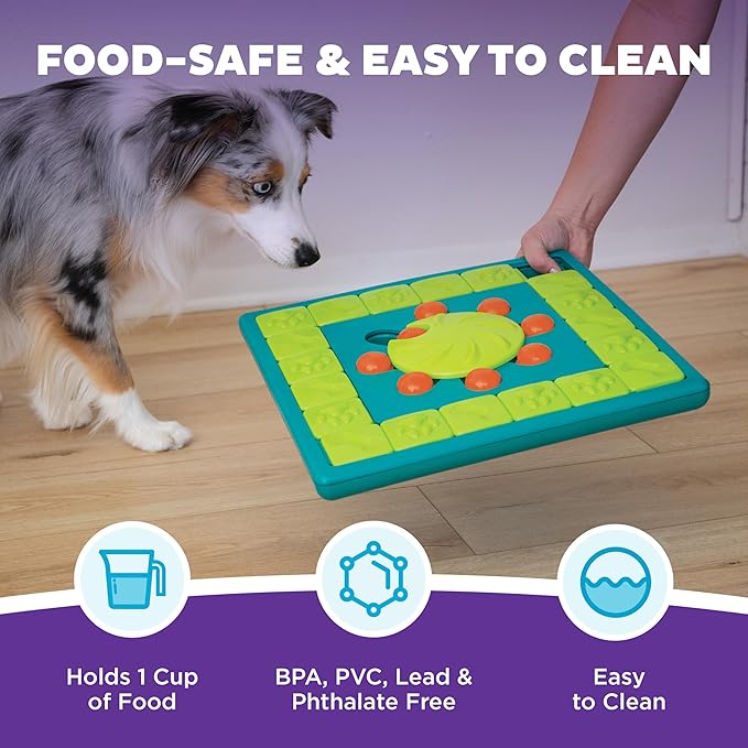 Outward Hound by Nina Ottosson Multipuzzle Level 4 Expert Dog Treat Puzzle for Enrichment, Blue
