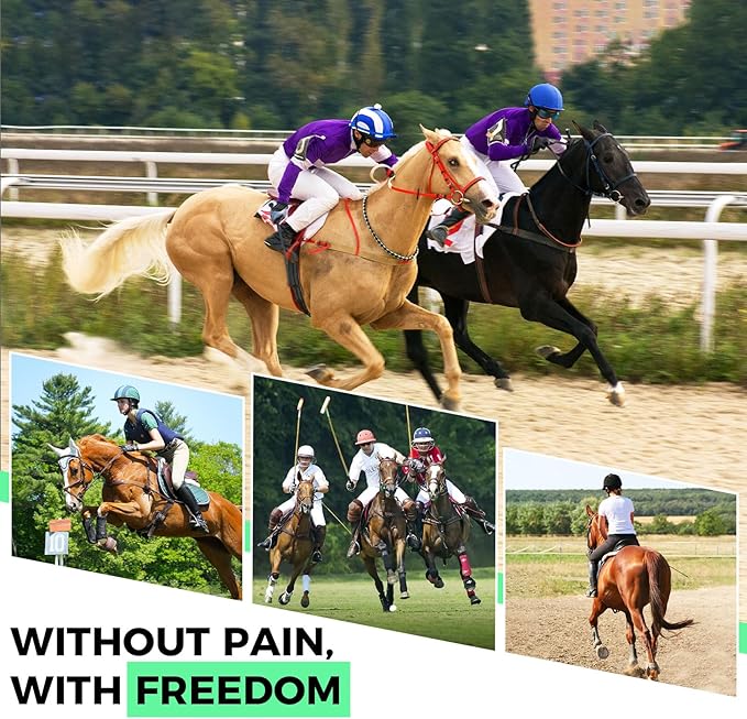Reusable Gel Horse Ice Boots (Set of 4) - Adjustable Leg Wraps for Cooling Relief on Hocks, Knees & Ankles, Durability & Cooling in Active Horses