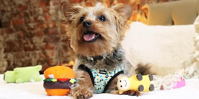 Coastal Pet Li'l Pals Dog Slicker Brush with Coated Tips - Dog Grooming Brush for Small Breeds & Puppies - One Size (3.25” x 7.25”)