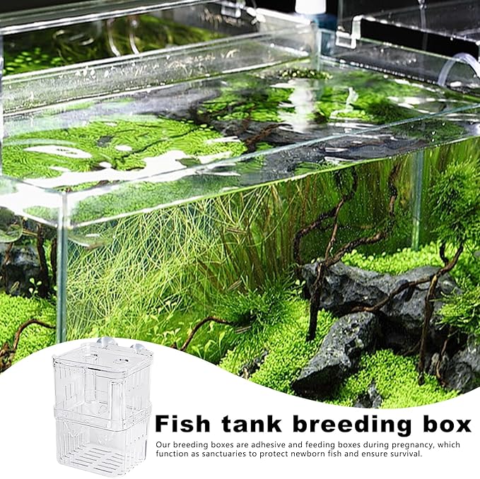 Breeder Box Fish, Acrylic White Breeder Isolation Divider Hatching Boxes, Fish Breeding Box, Hatchery Incubator Tank, Acrylic Fish Incubator Tank Divider for Baby Fish Betta Guppy Safe Acclimation