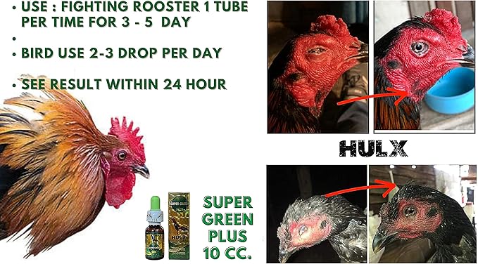 HULX Super Green 10 CC. Rooster Booster Health Care Protection, Quickly Recover Chicken Rooster from Sick, Heal Wounds Pain, Recovery Energy Increase Immunity Poultry & Bird