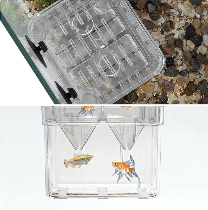 Fish Breeder Box, Easy-to-Use Breeder Tank Divider, Breeder Box for Fish Tank, Versatile Breeder System, S, Clear, 1 Set