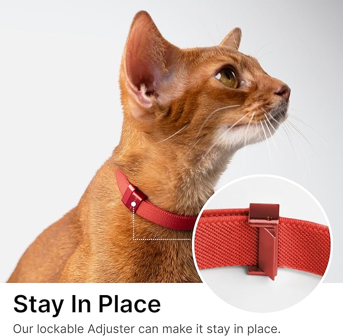 Safety Cat Collar Pro, Lightweight Elastic Release Non Breakaway Cat Collar Adjustable with Snap Fastener for Kitten All Small Large Cats, US IDA Gold Award (Olive, S 5.9-11.8")