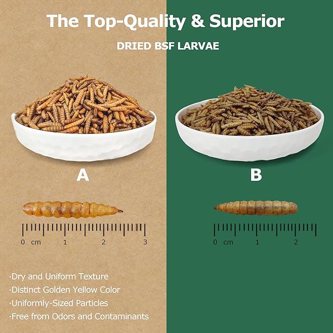 Premium Dried BSF Larvae for Chickens - 1LB High Calcium Supplement, Molting and Laying Support, Non-GMO & High-Protein Treats, Food for Wild Birds, Ducks, Repitle | Top Grade BSF