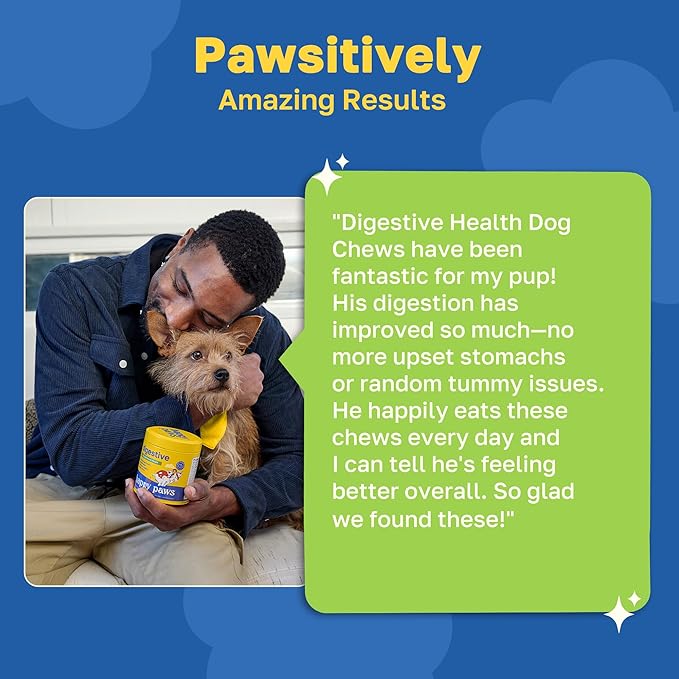 Happy Paws Digestive Supplement for Dogs, Supports Gut Health for Dogs of All Breeds & Ages, Made with Probiotics, Enzyme Blend & Ginger Root, Pumpkin Flavor, Organic, Non GMO, 200 Soft Chews