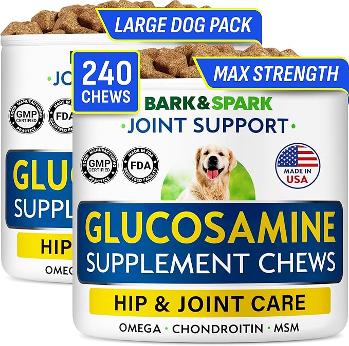Glucosamine Chondroitin Dog Hip & Joint Supplement - Joint Pain Relief - Hip & Joint Chews for Dogs - Joint Support Large Breed - Senior Doggie Vitamin Pills Joint Health - (240 Treats - Bacon)