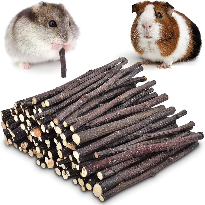 ERKOON Natural Apple Sticks 500g (1.1lb) Small Animals Molar Chew Toys Apple Branch Chew Treats for Hamster Rabbit Chinchilla Bunny Guinea Pig Squirrel