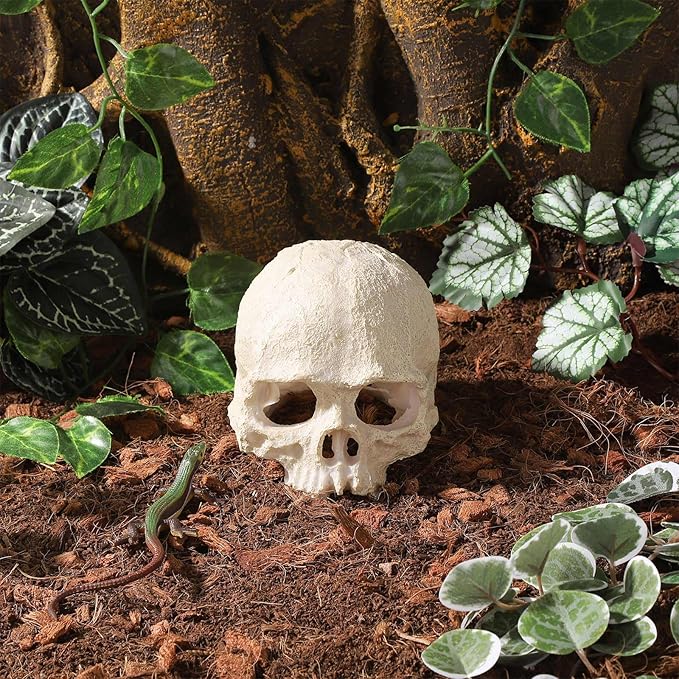 Resin Reptile Hideout for Tank Realistic Skull Decor for Terrarium White Decorative Skeleton Head Hides and Caves for Fish Ball Python Axolotl Tarantula