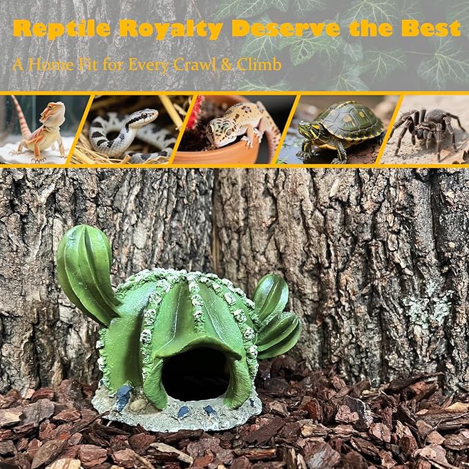 Cactus Reptile Hide Caves Lizard Bearded Dragon Leopard Gecko Hideout Terrarium Tank Accessories Turtle Snake Décor Amphibian Habitat Tortoise Personalized Decoration
