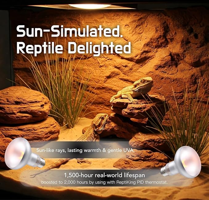 Reptile Heat Lamp, 100W 2-Pack Incandescent Basking Spotlight Bulbs for Reptiles Terrarium Tanks, Reptile Heat Bulb for Infrared Light, Bearded Dragon Heat Bulbs (100W)