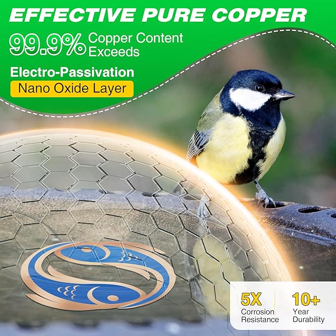 Saillong 2 Pack Bird Bath Copper Disk, Reinforced 99.99% Pure Copper Bird Bath Purification Disk for Physical Clean Water, Birdbaths Cleaner for Outdoor Birdbaths, Bowl and Garden Fountain (Fish)