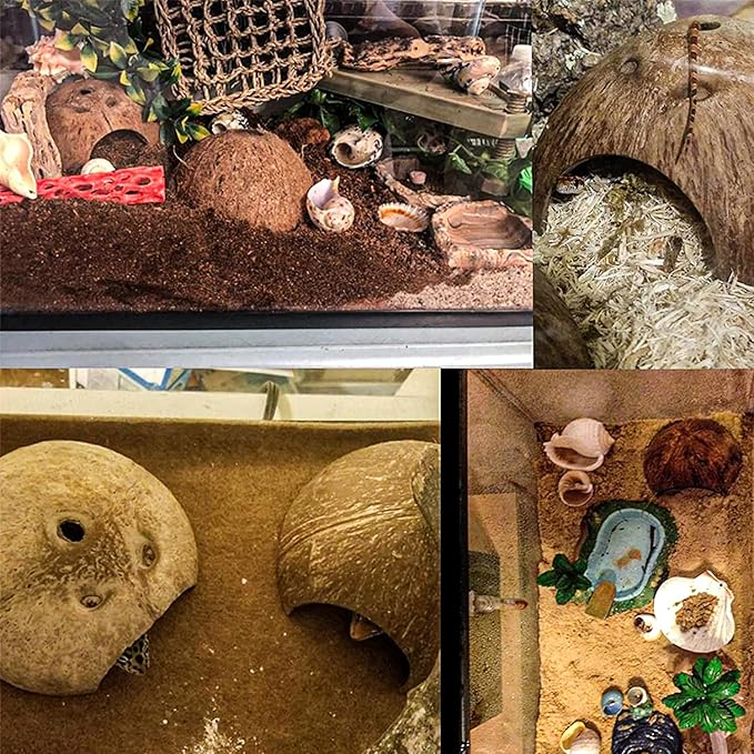 HERCCOCCI Hermit Crab Accessories, 6Pcs Hermit Crab Toys Coconut Shell Hut Climbing Hammock Artificial Plants for Hermit Crabs