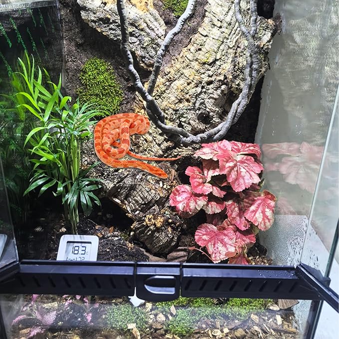 VCEPJH Reptile Plants with Suction Cup Amphibian Habitat Decor 2 Pcs Artificial Leaves for Terrarium Decor Crested Gecko Tank Accessories for Bearded Dragon, Lizard, Snake (Scarlet Saxifrage)