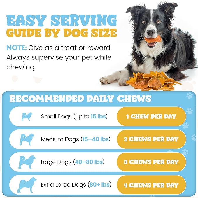 hotspot pets Dehydrated Natural Pumpkin Slices for Dogs- Crunchy Treats- 2lb Value Bag, All-Natural - High Protein, Great for Sensitive Stomachs, Low Fat, A Healthy Rawhide Alternative for All Dogs