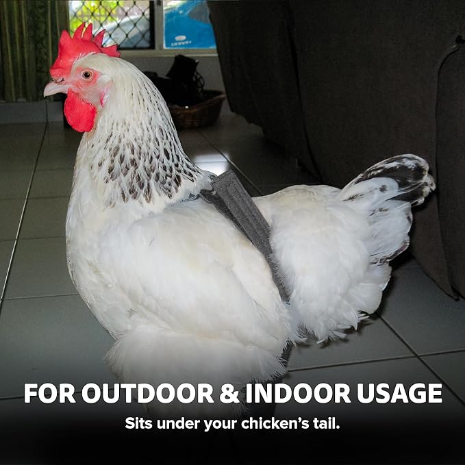 Hen Holster Bikini Diaper, Bird Diaper & Harness for Hens, Roosters, Ducks, Geese - with Removable Vinyl Liner, Adjustable Fit for Outdoor Adventures & Indoor Use - Easy to wear - S/M, Gray