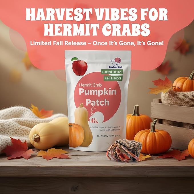 Snout and Shell Pumpkin Patch Hermit Crab Food – Limited Edition Fall Blend with Pumpkin, Squash, Fruits, Grains & Flowers – 2 oz (56g) Natural Seasonal Treat