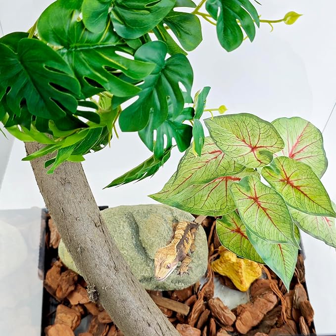 Woyrise Reptile Artificial Plants for Terrarium Decor, Amphibian Habitat Decorations Bearded Dragon Tank Accessories fit Crested Gecko Leopard Lizard Chameleon Ball Python Snake Frog - Fake Caladium