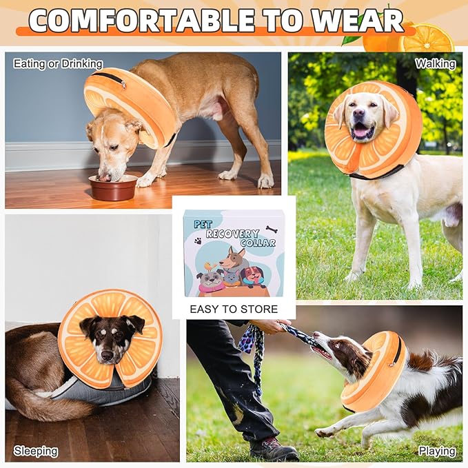 KOOLTAIL Inflatable Dog Cone Collar, Soft Dog Cone Alternative for Large Medium Small Dogs After Surgery, Cute Costume Adjustable Donut Neck Cone for Dogs Cats, Comfortable Recovery E Collar,Orange M