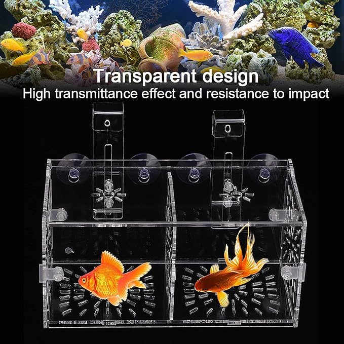 Fish Breeding Box, Acrylic Fish Isolation Box Transparent Aquarium Acclimation Hatchery Incubator with Suction Cups Aquarium Breeder Box for Newborn Fry Shrimp