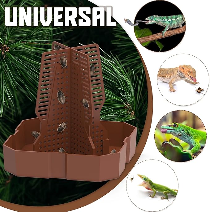 Chameleon Feeding Bowl for Reptile Terrarium, Climbable Design for Reptile to Hunt, Suitable for Feeding Lizards, Bearded Dragons, Geckos, Guardians, Frogs, Reddish Brown, Large