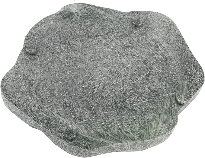 Ejoyous Reptile Rock Food Dish Water Bowl, Resin Terrarium Feeder Feeding Bowl for Tortoise Lizard Amphibian Hermit Turtles (S)