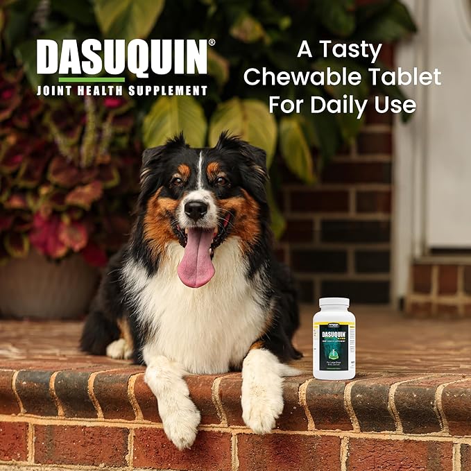 Nutramax Dasuquin for Large Dogs, Joint Health Supplement, Contains Glucosamine for Dogs, Plus Chondroitin, ASU, MSM and More, Supports Healthy Joints, Chewable Tablets, 84 Count