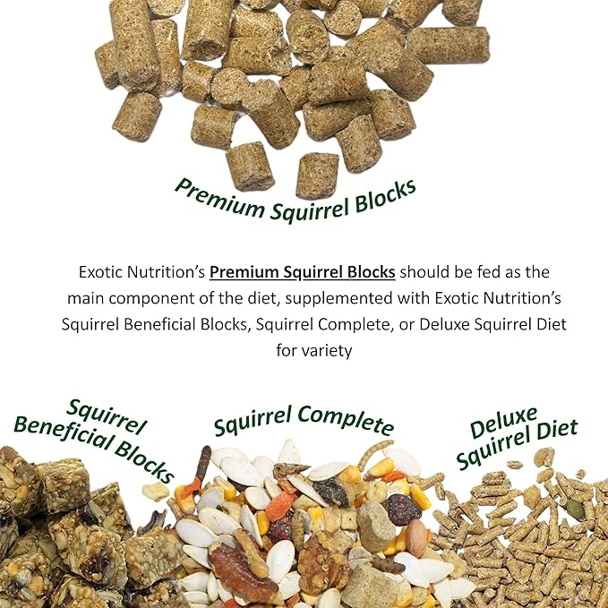 Exotic Nutrition Deluxe Squirrel Diet (2 lb.) - Staple Diet with High Protein Pellets for Captive Squirrels - Grey, Ground, Flying, and Chipmunks