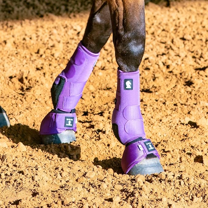 Classic Equine Legacy2 Support Boots, Front