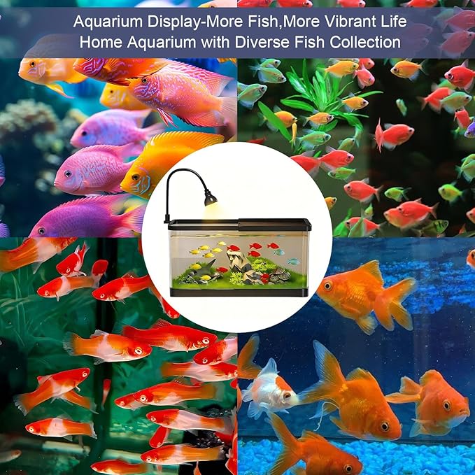 5 Gallon Fish Tank for Betta Guppy Shrimp, Small Aquarium Starter Kit for Home Office with Clear Glass Design, Peceras para Peces con Luz Fish Net Booster Pump Aquatic Plants Pebbles by MCCKLE