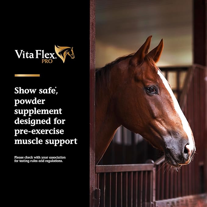 Vita Flex Pro Lactanase Pre Performance, show safe* muscle and metabolism support