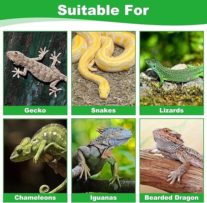kathson Reptile Carpet, Natural Moss Mat for Terrarium, Bearded Dragon Tank Flooring Green Substrate Liner for Leopard Gecko Hermit Crab Lizard Tortoise (70.86" X 11.81")