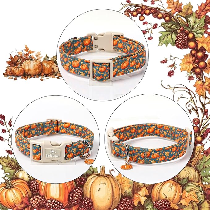 Fall Dog Collar Cute Autumn Pumpkin Puppy Collar - Light Comfortable Adjustable Pet Collars for Small Medium Large Girl Boy Dogs XL