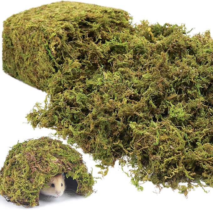 Riare 25QT Natural Hamster Moss Bedding Nesting-Soft Forest Moss Hamster Habitat Reptile Moss for Dwarf Syrian Hamsters, Mices, Gerbils, Reptiles, Small Pets (1.3LBS)