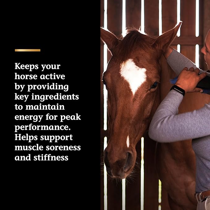 Vita Flex Pro Lactanase Pre Performance, show safe* muscle and metabolism support