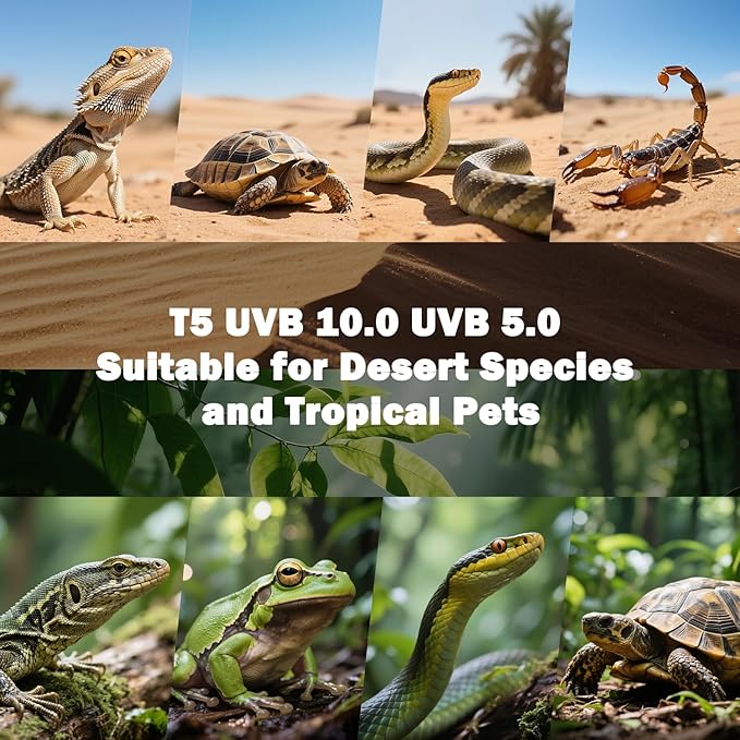 T5 10.0 UVB Reptile Light Bulb 24W, UVA UVB Light Bulb for Reptiles, 2 Pack Reptile UVB Lamp Tube 22 Inch, for Bearded Dragon, Lizards, Chameleons