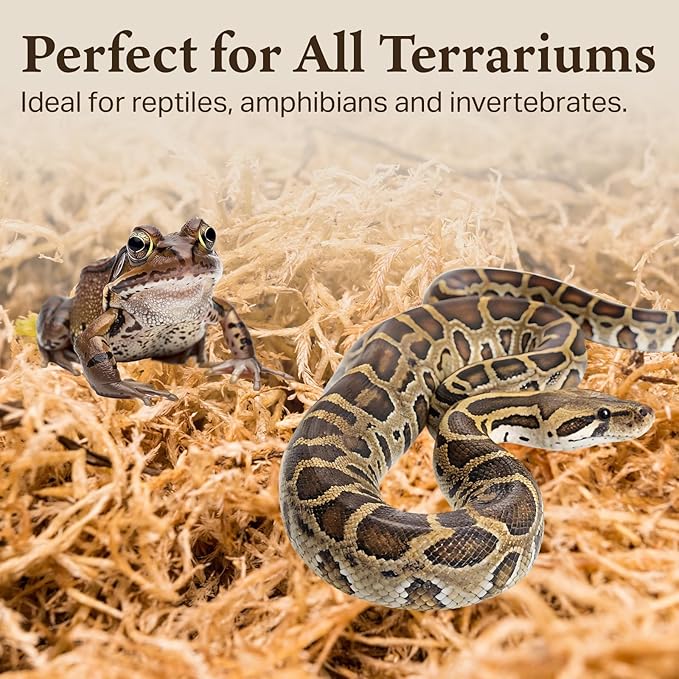The Habitat Life - Natural Sphagnum Moss - for Reptiles, Amphibians & Invertebrates Terrariums - Humidity Control - Ideal for Burrowing & Nesting - Dye-Free & Safe - Medium - 1 Pack